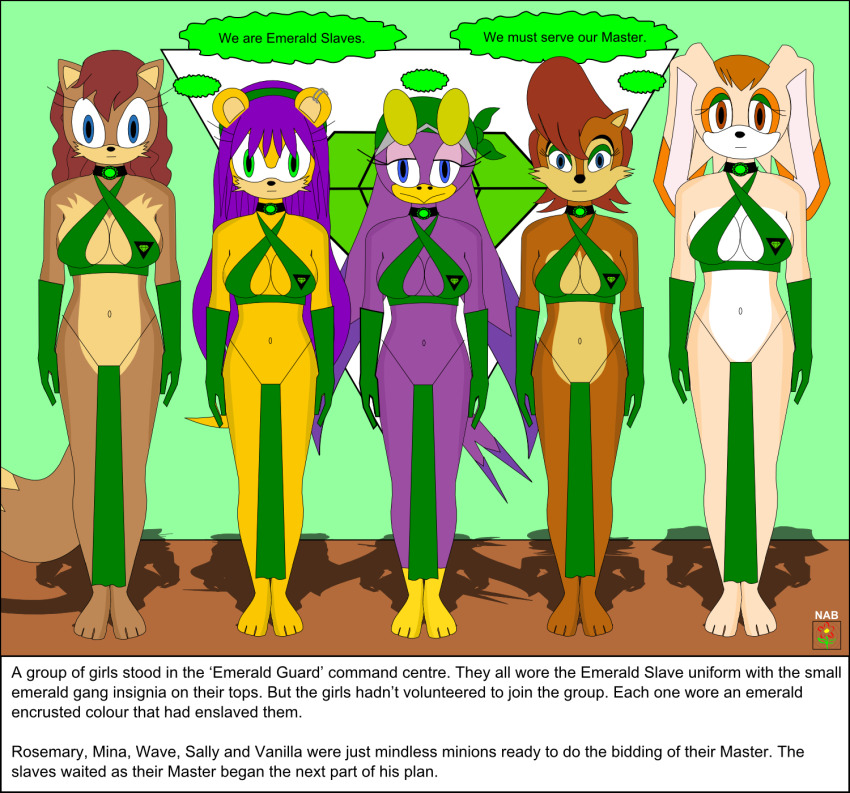 bird_girl bunny_girl chipmunk_girl collar empty_eyes expressionless eyeshadow femsub fox_girl furry harem_outfit mina_mongoose mongoose_girl nabs001 open_mouth rosemary_prower sally_acorn sonic_the_hedgehog_(series) standing standing_at_attention text vanilla_the_rabbit wave_the_swallow