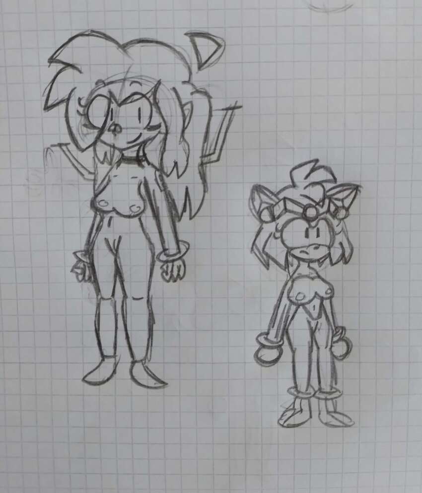 amy_rose antenna breasts cables crossed_eyes female_only frantheflan friday_night_funkin' furry looking_at_viewer multiple_girls multiple_subs nude nusky_(skyverse) shoes sketch sky_(friday_night_funkin') skyverse sonic_boom sonic_the_hedgehog_(series) standing standing_at_attention tech_control traditional v