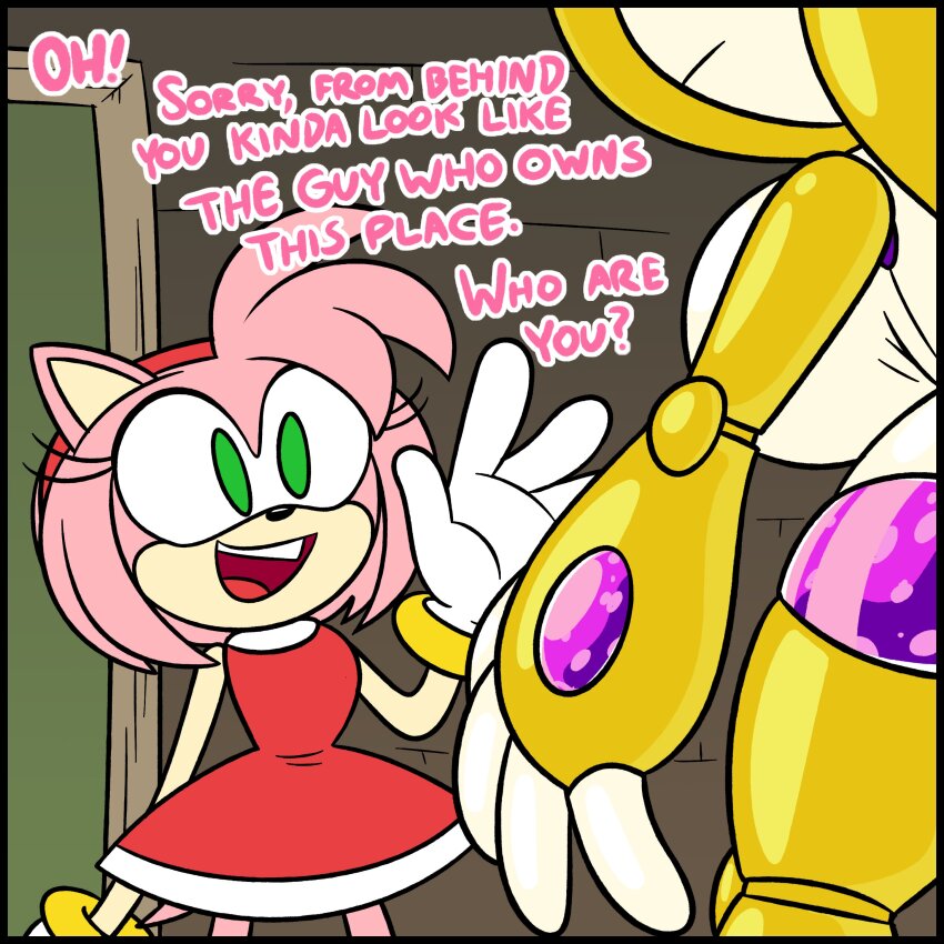 amy_rose female_only fox_girl frost-locke furry hedgehog_girl miles_tails_prower robot_girl sonic_the_hedgehog_(series) tech_control text transformation