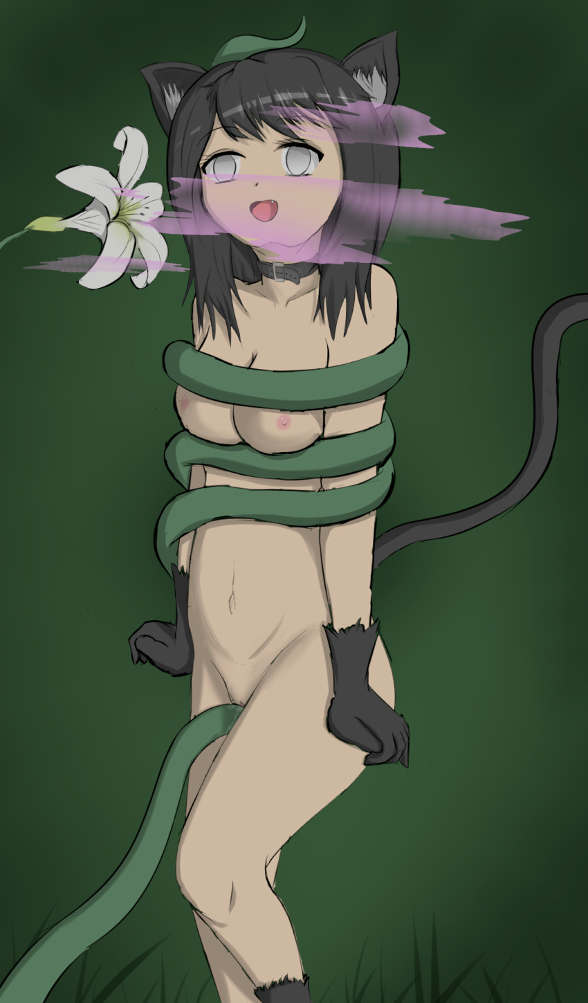 animal_ears black_hair bottomless breasts cat_ears cat_girl cat_tail collar empty_eyes female_only flower gojulas happy_trance hypnotic_gas kya_(nazwa) large_breasts long_hair nude open_mouth original tail topless vines