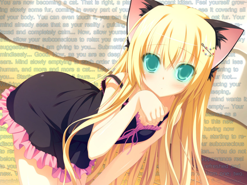 animal_ears artist_request blonde_hair blue_eyes blush cat_girl expressionless female_only femsub flat_chest glowing glowing_eyes long_hair manip pet_play solo source_request text very_long_hair