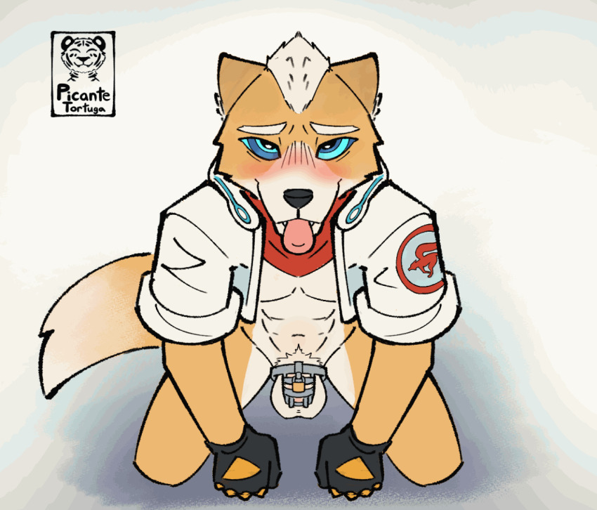 abs animated animated_gif balls blue_eyes blush bottomless chastity fox_boy fox_mccloud furry gloves happy_trance jacket kaa_eyes kneeling looking_at_viewer male_only malesub navel nintendo open_clothes open_mouth open_shirt penis picante_tortuga scarf signature simple_background star_fox tongue tongue_out white_background