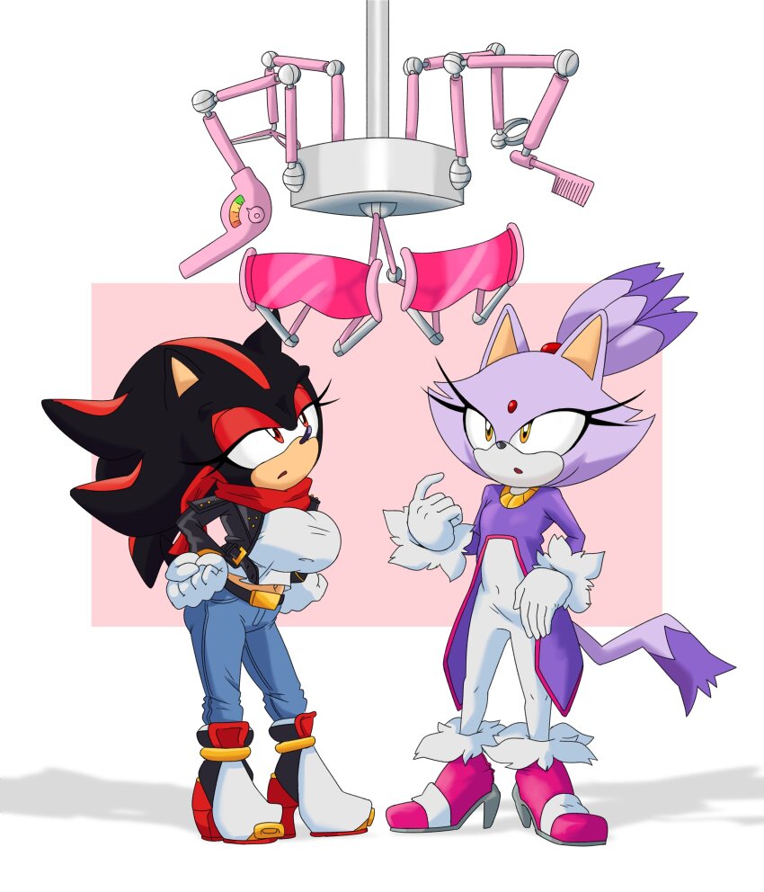before_and_after blaze_the_cat breasts cat_girl clothed female_only femdom femsub furry genderswap hedgehog_girl limederg shadow_the_hedgehog shoes sonic_the_hedgehog_(series)