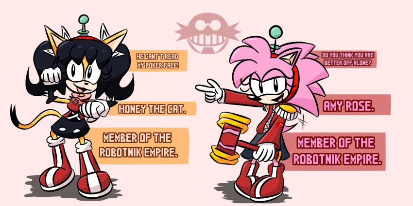 amy_rose antenna black_hair boots cat_girl cat_pose classic_amy_rose coat dialogue dress frantheflan gloves hair_band hammer hedgehog_girl honey_the_cat jacket long_hair multiple_girls multiple_subs open_mouth pink_hair simple_background skirt smile sonic_the_hedgehog_(series) tech_control text twintails white_background