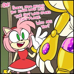amy_rose female_only fox_girl frost-locke furry hedgehog_girl miles_tails_prower robot_girl sonic_the_hedgehog_(series) tech_control text transformation rating:Explicit score:21 user:Oscar044