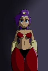  absurdres bitter84 dark_skin dollification earrings elf elf_ears empty_eyes female_only femdom femsub genie jewelry long_hair nintendo ponytail purple_hair shantae shantae_(series) solo super_smash_bros. very_long_hair  rating:safe score: user:bitter84