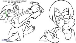 absurdres barefoot brain_injection dialogue feet foot_focus furry gloves happy_trance hedgehog_boy kimberco knuckles_the_echidna male_only malesub ring_eyes shadow_the_hedgehog slime smile sonic_the_hedgehog_(series) symbol_in_eyes text undressing rating:Questionable score:13 user:Pinkanator