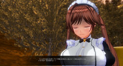 3d breasts brown_hair custom_maid_3d_2 female_only femdom femsub happy_trance large_breasts maid sennoudaisuki tears text translated rating:Questionable score:3 user:YuriLover2