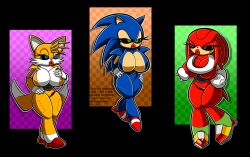 breast_expansion breasts echidna_girl fembot femsub flashpointgear fox_girl furry genderswap hedgehog_girl knuckles_the_echidna miles_tails_prower robot robot_girl robotization sonic_the_hedgehog sonic_the_hedgehog_(series) transformation rating:Explicit score:36 user:Soldierdream7