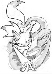 blaze_the_cat cat_girl emeraldsage femsub furry greyscale happy_trance hypnotic_eyes monochrome ring_eyes snake sonic_the_hedgehog_(series) traditional rating:questionable score: user:hypno