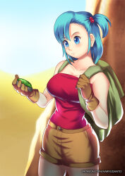 blue_hair breasts bulma_briefs cleavage dragon_ball hadant large_breasts short_hair signature rating:Questionable score:49 user:TheGoodShank