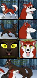 absurdres animals_only balto_(movie) brown_hair comic dog dog_girl drool fellatio femsub furry happy_trance hypnotic_eyes jenna_(balto) knotted_penis maledom non-human_penis open_mouth ordeper_arts original penis red_hair short_hair text tongue tongue_out wolf_boy