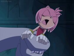  amy_rose animated animated_gif boom_boo femsub furry ghost hedgehog_girl nightmare_fuel possession short_hair sonic_the_hedgehog_(series) text 