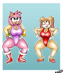  amy_rose boots breasts brown_eyes bunny_girl cream_the_rabbit exocomics female_only femsub gloves green_eyes haigure hedgehog_girl large_breasts leotard multiple_girls multiple_subs signature sneakers sonic_the_hedgehog_(series) 