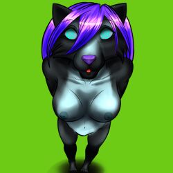 black_hair bottomless breasts dog_girl female_only femsub furry happy_trance hypnogoat666 nude open_mouth original pendulum purple_hair simple_background spiral_eyes symbol_in_eyes topless wolf_girl