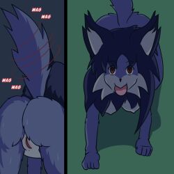  amnesia animal_ears blue_hair bottomless caption dog_pose empty_eyes femsub furry happy_trance idpet jewel_(niceguy) long_hair magic nude original pet_play pussy red_eyes squatting tail tail_growth text tongue tongue_out topless transformation werewolf xiana_(niceguy) 