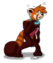  collar cum glowing_eyes knotted_penis malesub open_mouth red_panda_boy topless 