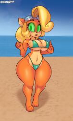bandicoot_girl beach bikini blonde_hair blush breasts coco_bandicoot crash_bandicoot_(series) dongitos-too earrings female_only femsub furry green_eyes huge_hips jewelry large_breasts long_hair manip open_mouth spiral_eyes standing symbol_in_eyes tech_control tongue
