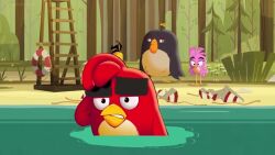  angry_birds angry_birds:_summer_madness animated bird_boy bird_girl bomb_(angry_birds) book chuck_(angry_birds) furry humor maledom malesub official pocket_watch red_(angry_birds) sound spiral_eyes stella_(angry_birds) video 