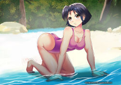 akane_tendo beach blue_hair brown_eyes female_only hadant one-piece_swimsuit ranma_1/2 short_hair signature solo swimsuit