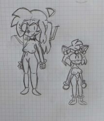  amy_rose antenna breasts cables crossed_eyes female_only frantheflan friday_night_funkin&#039; furry looking_at_viewer multiple_girls multiple_subs nude nusky_(skyverse) shoes sketch sky_(friday_night_funkin&#039;) skyverse sonic_boom sonic_the_hedgehog_(series) standing standing_at_attention tech_control traditional v 