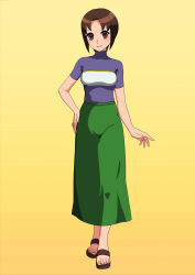  before_and_after brown_eyes brown_hair female_only haruka_hikari looking_at_viewer megaman_(series) megaman_battle_network ochiman1919 sandals short_hair simple_background skirt smile solo standing yellow_background 