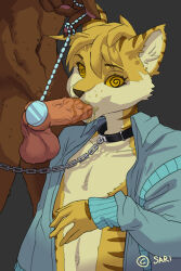 cat_boy chains collar fellatio furry leash male_only maledom malesub pendulum penis sarichow spiral_eyes symbol_in_eyes yaoi