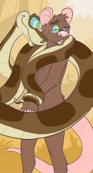 bottomless breasts coils disney furry glasses hypnotic_eyes kaa kaa_eyes male_only maledom malesub nude one_eye_open open_mouth original plsgts rat_boy resisting snake the_jungle_book topless