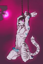 arms_above_head bondage bottomless erection forge furry hypnotic_light kaa_eyes kneeling male_only malesub nude open_mouth penis solo tech_control tiger_boy topless