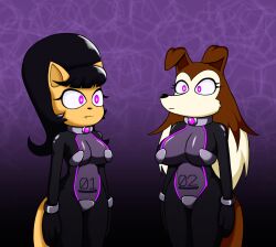 alternate_costume black_hair bodysuit brown_hair cat_girl collar colleen dog_girl dr._chaos expressionless femsub fox_girl furry glowing glowing_eyes kitty_katswell pink_eyes road_rovers simple_background source_request standing standing_at_attention tech_control tuff_puppy