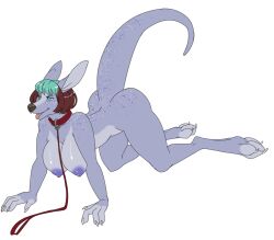  000999 all_fours bottomless breasts collar dazed female_only femsub furry hanging_breasts kaa_eyes kangaroo_girl leash non-human_feet nude original paws tongue tongue_out topless 