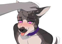  bulbumka collar dog_boy femboy furry male_only malesub muscle_boy petting pink_eyes rodrick_(kt1v3nus) scars swirlys_club_(kt1v3nus) tagme 