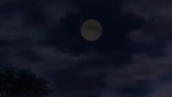  animated ariel asphyxiation coils disney fresh_kaa-ntent_(manipper) happy_trance jungle kaa kaa_eyes mermaid night red_hair seashell_clothing smile snake sound tagme the_jungle_book the_little_mermaid trees video 