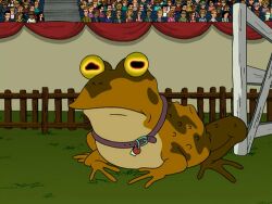 bell bell_collar collar expressionless femsub futurama humor hypnotic_eyes hypnotoad malesub meme multiple_subs official open_mouth sound video