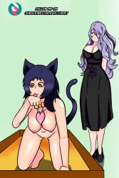  all_fours animal_ears blue_hair bottomless breasts camilla_(fire_emblem_fates) cat_girl cat_pose collar femdom femsub fire_emblem fire_emblem_fates idpet nintendo nude pet_play purple_hair tail topless 