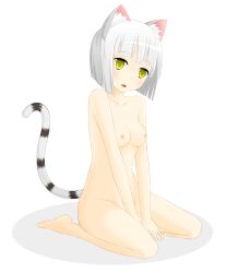absurdres animal_ears bottomless breasts cat_ears cat_girl cat_tail demon_girl drool empty_eyes etlabsotwe expressionless febe_(myuk) female_only femsub monster_girl nude open_mouth original short_hair sitting tail topless white_hair yellow_eyes