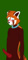 artist_request collar furry glowing glowing_eyes male_only malesub open_mouth penis red_panda_boy source_request 