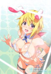  blonde_hair bunny_ears charlotte_dunois color english_text huge_breasts infinite_stratos long_hair swimsuit tagme takeda_hiromitsu tech_control text 
