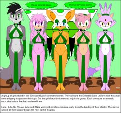  amy_rose bat_girl bat_wings blaze_the_cat cat_girl collar echidna_girl empty_eyes expressionless eyeshadow femsub furry harem_outfit hedgehog_girl julie-su lupe_wolf nabs001 open_mouth rouge_the_bat sonic_the_hedgehog_(series) standing standing_at_attention text wolf_girl 