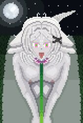  collar dinosaur_girl glowing_eyes happy_trance indoyari_yumiro nyarukavt pet_play pixel_art tail virtual_youtuber white_skin 
