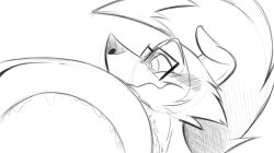 drool furry hornyverdan kaa_eyes licking long_tongue nintendo pokemon tongue