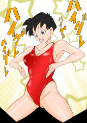  black_hair body_control dragon_ball dragon_ball_z femsub haigure leotard light_rate_port_pink short_hair swimsuit videl 