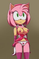 amy_rose electrickronos female_only femsub furry hedgehog_girl pink_hair short_hair solo sonic_boom sonic_the_hedgehog_(series) standing standing_at_attention underwear