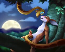 balls blush bottomless bunny_boy disney erection furry hypnotic_eyes jungle kaa kaa_eyes keona_tempt male_only malesub night nude open_mouth original penis precum sitting snake tailjob the_jungle_book tongue tongue_out topless