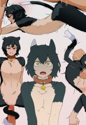 bell bell_collar black_hair blush cat_ears cat_girl cat_tail collar confused delicious_in_dungeon empty_eyes eye_roll fangs femsub fingering flat_chest furry happy_trance izutsumi_(delicious_in_dungeon) looking_at_viewer lying maledom multiple_views nude open_mouth penis pink_eyes ryuugu sex short_hair simple_background smile surprised tail tail_holding trance_break trembling white_background yellow_eyes 