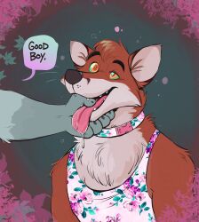 collar dazed dramamine drool fox_boy furry good_sub_conditioning kaa_eyes male_only malesub open_mouth text tongue tongue_out