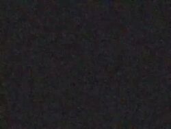 airi_ootoda bad_thumbnail bishoujo_a blonde_hair brown_hair character_request denpa_no_dorei empty_eyes expressionless female_only femsub game_cg glasses maria_saotome official orange_hair panties ryouko_kidosaki sound studio_jyaren tagme video