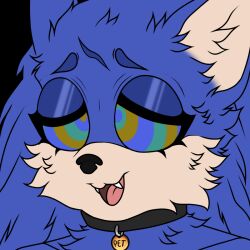  animated animated_eyes_only animated_gif blue_hair blue_skin collar fangs furry happy_trance hedgehog_boy kaa_eyes male_only malesub open_mouth peachiiyeen solo sonic_the_hedgehog sonic_the_hedgehog_(series) transparent_background 