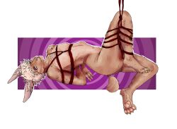  bondage bunny_boy ferris_(kt1v3nus) furry lesventin male_only malesub pink_eyes shibari swirlys_club_(kt1v3nus) tagme 