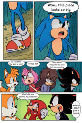  amy_rose bastion_the_hedgehog before_and_after blue_eyes boots brown_eyes brown_hair clothed comic dress echidna_boy eyelashes fox_boy furry gloves green_eyes hedgehog_boy hedgehog_girl knuckles_the_echidna miles_tails_prower multiple_boys perryrat24 purple_eyes red_eyes shadow_the_hedgehog shoes sonic_the_hedgehog sonic_the_hedgehog_(series) text 